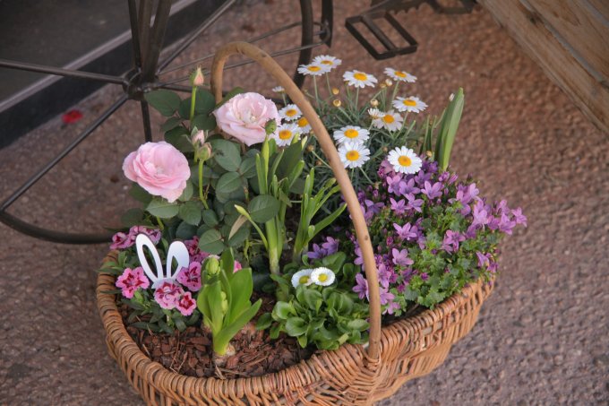 Pâques approche à grands pas ! photo 10